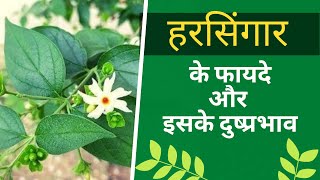 Episode 8: Harsingar Plant "जानिए हरसिंगार के पौधे के बारे में सब कुछ" 🌿