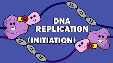 DNA REPLICATION (1/3) - INITIATION