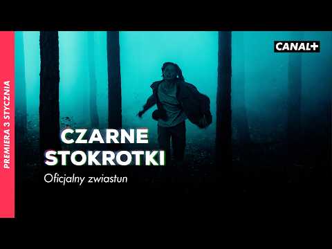 Nowy serial CANAL+ | Od 3 stycznia
