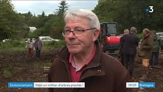 Breizh Forêt Bois : déjà 1 million d'arbres plantés ! - France 3 screenshot 4