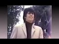 Rolling Stones - Dandelion - (Video Stereo Remaster - 1965-67) - Bubblerock - HD