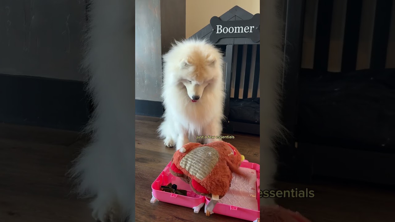 Welp, that escalated quickly 😅🫠 