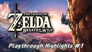 When A Pro League Of Legends Player Plays Zelda Botw Playthrough Highlights