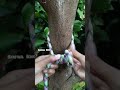 #knot #rope #a #diy #handmade #camping #outdoor #tutorial