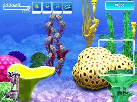 Tropical Dream: Underwater Odyssey