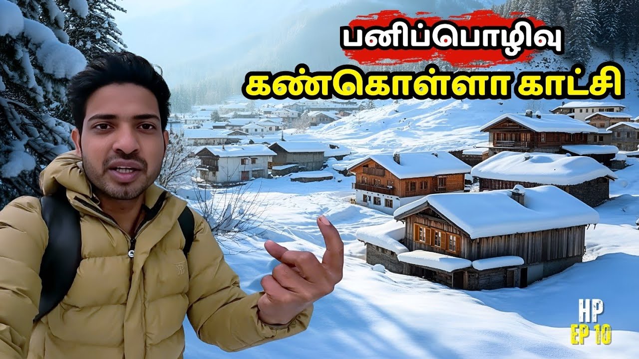 ரொம்ப அழகா இருக்கு மணாலி SNOW FALL | எங்கு பார்த்தாலும் பனி | #manali #snowfall