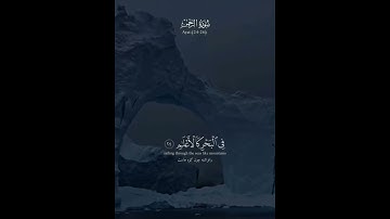 ﴿ وَلَهُ الْجَوَارِ الْمُنشَآتُ فِي الْبَحْرِ كَالْأَعْلَامِ﴾[ سورة الرحمن: 24]