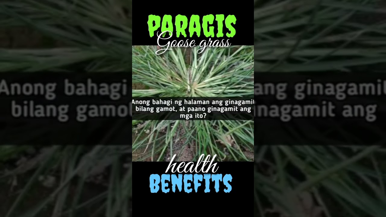 PARAGIS HEALTH BENEFITS