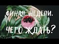 Гадание на кофейной гуще на ФИНАЛ НЕДЕЛИ + ЖЕЛАНИЕ | сбудется ли? |