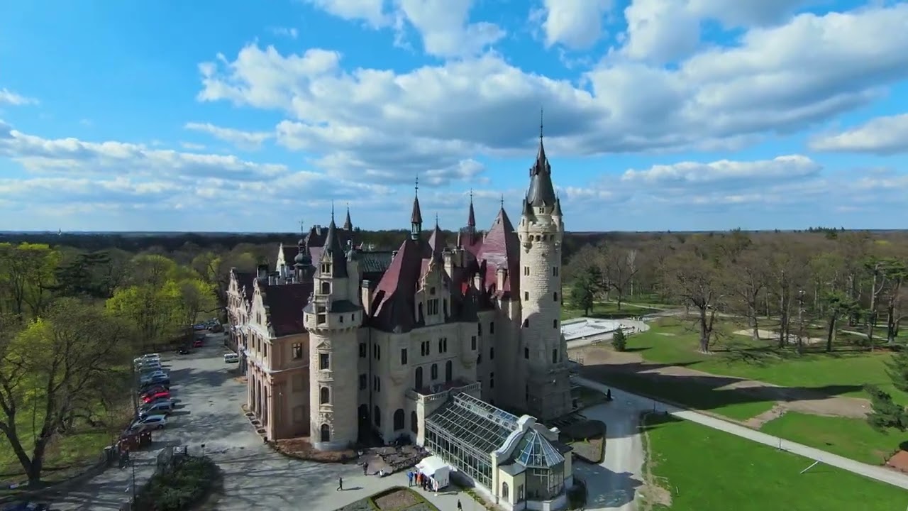 DJI FPV Flying through the fields in Poland