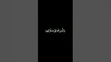 والذين هم على صلواتهم يحافظون | سورة المؤمنون القارئ ياسر الدوسري #قرآن #اكسبلور #قران_كريم #quran