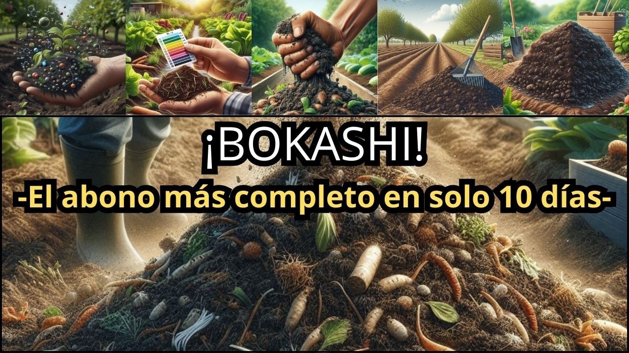 Bokashi: el abono orgánico más rápido y completo para tu huerta