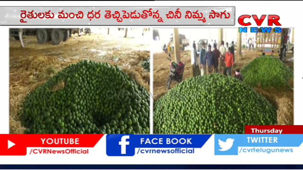 Face To Face With Anantapur Market Yard Merchants On Cheeni Nimma Crop Profit | CVR News