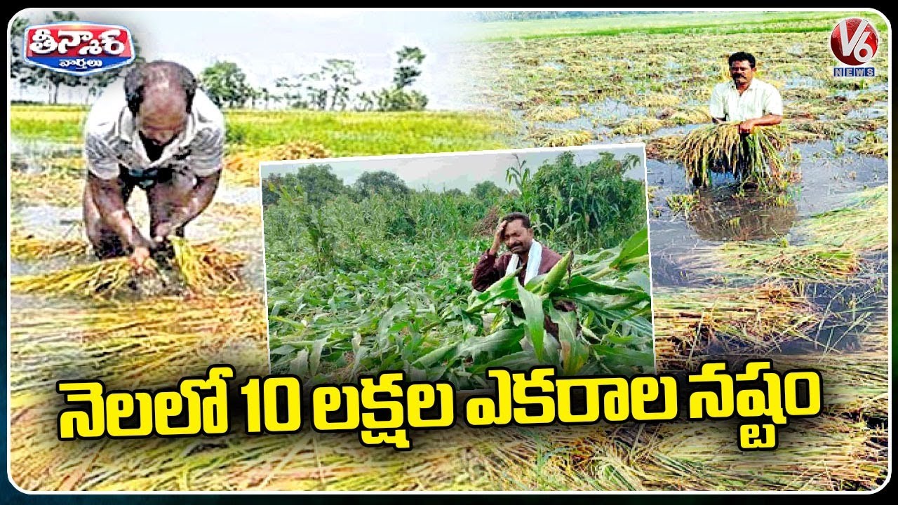 10 Lakh Acres Crop Damage In Just One Month Due To Heavy Rains | V6 ...