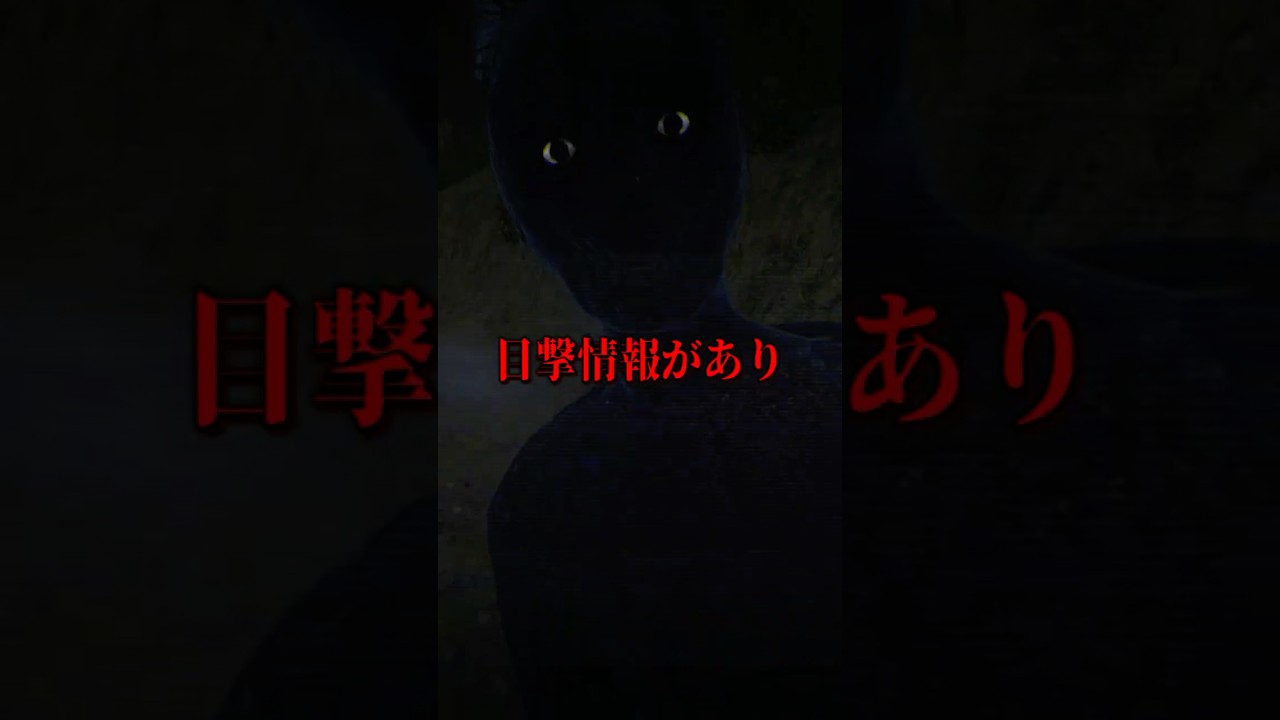 このトンネルだけ幽霊が出ないらしい【VRC意味怖】#shorts
