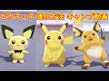 【ピチュー → ピカチュウ → ライチュウ】進化方法 攻略 + キャンプで遊ぶ【ポケモン ソード シールド ポケモン剣盾】
