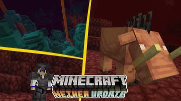 Everything Added in the Nether Update! (Snapshot 20w06a)