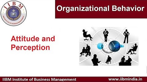 IIBM Institute | Organizational Behavior | Attitude and Perception