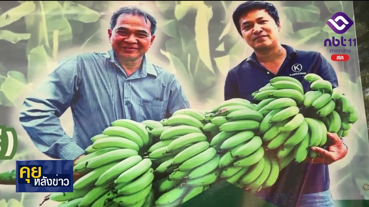 รายการคุยหลังข่าว ตอน ไร่ไพวัลย์กล้วยหอมลพบุรี