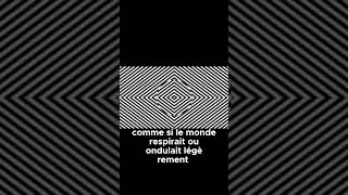 Peux-Tu Croire Ce Que Tes Yeux Voient ? Essaie Cette Illusion