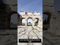 Why Did The Roman Empire Fall? 🏛️ #shorts #history