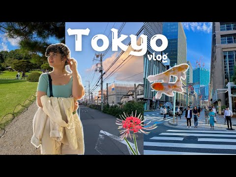 Un IMMENSE champs d'Higanbana🌺 et Art Aquarium🐠 : Une semaine à Tokyo (Japon) - Partie 2