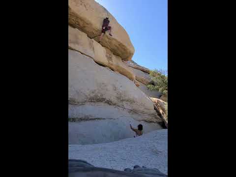 Video: Joshua Träd I Nationalpark Huggen Av Vandaler