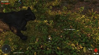 Far Cry 6 Oluso The Black Jaguar vs 2 Jaguars