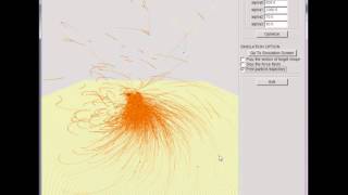 Force Field-based Control of Dynamic Particles with User Specified Paths