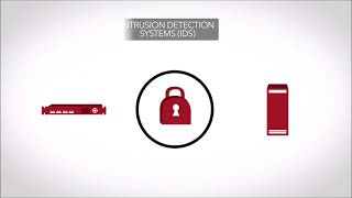 USR Gigabit Ethernet & Fiber TAPS Overview