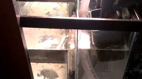 Overflow PVC pipe and 10 gal sump.