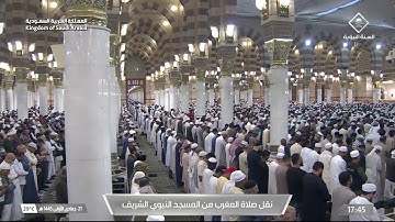 سورة الزلزلة | الشيخ د. علي الحذيفي
