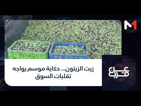 عن قرب زيت الزيتون حكاية موسم يواجه تقلبات السوق