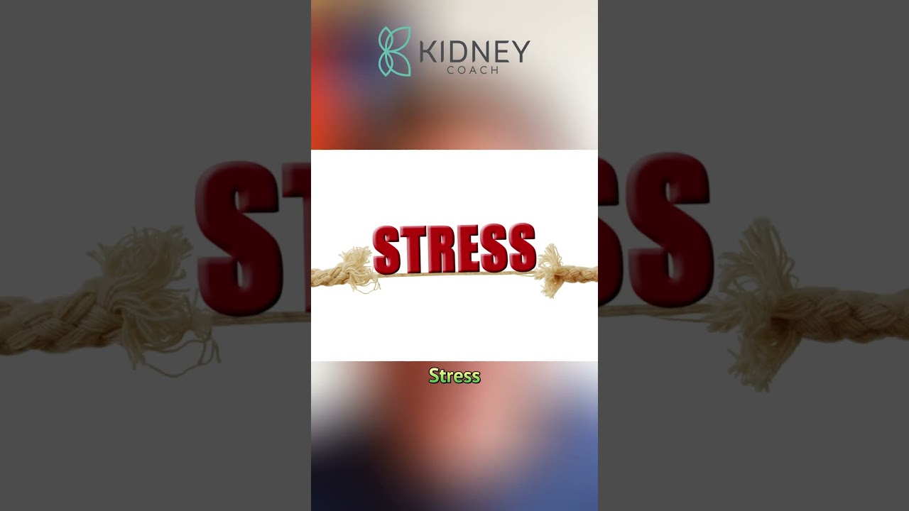 How Chronic Stress Affects Kidney Health? | 