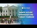 Watch live: Annual White House Thanksgiving turkey pardon | USA TODAY