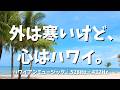 【途中広告なし・12時間】外は寒いけど、心はハワイ。🌴 ハワイアンカフェBGM｜528Hz・432Hz｜ウクレレ×波音｜ハワイアンミュージック