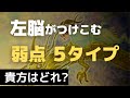 【ネドじゅんさん】左脳の逆襲! 弱点５つのタイプと対処法４つ🌟左脳の断末魔が来る前に貴方のタイプを知って下さい🌺絵「腹に聞く」を描きながら🌼
