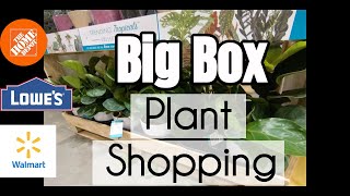 Big Box Plant Shopping | Lowe&#39;s Home Depot Walmart Plant Shopping | Plant Shopping