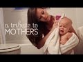 A Tribute to Mothers (Dayspring, Inc. Ad)