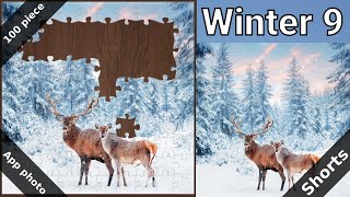 [Jigsaw puzzles] App photo - Winter 9 - 100 piece #shorts screenshot 2