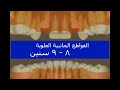 ترتيب ظهور الاسنان المستديمة متى تبدأ تغييرالاسنان اللبنيه 