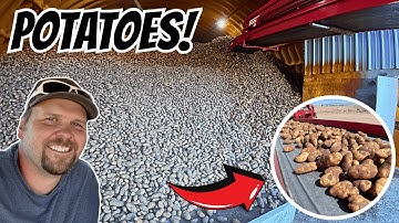10 Million Pounds of Potatoes Later… Potato Harvest Day 7