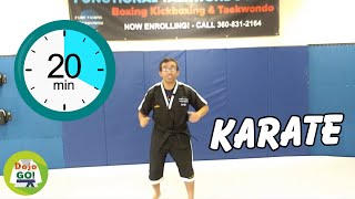 20 Min Karate Lesson For Kids | Push-Kick | Dojo Go