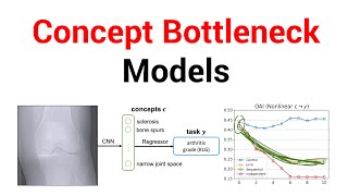 Concept Bottleneck Models (Paper Explained)