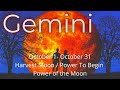 Gemini, Hold On! You’ve Been Through So Much & Now It’s Time For Rewards