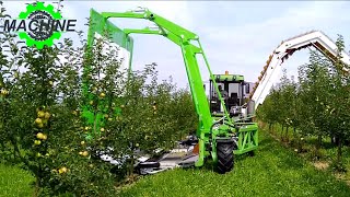 Orchard Harvester Machines That Are At Another Level 🚀 1 -  Awesome Technology And Heavy Equipment