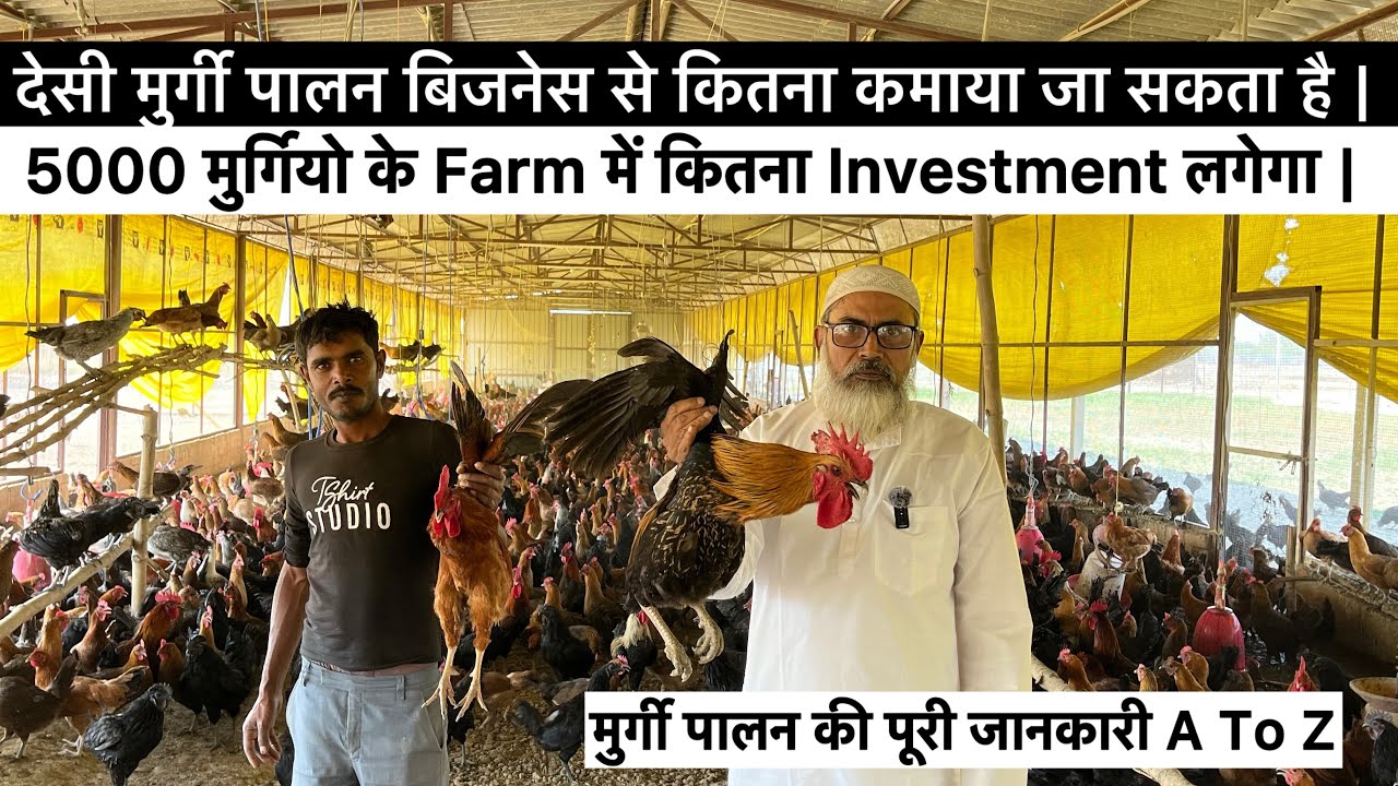 5000 मुर्गियो के farm में कितना Investment लगेगा || कितना Profit होगा || Desi Poultry Farm Business