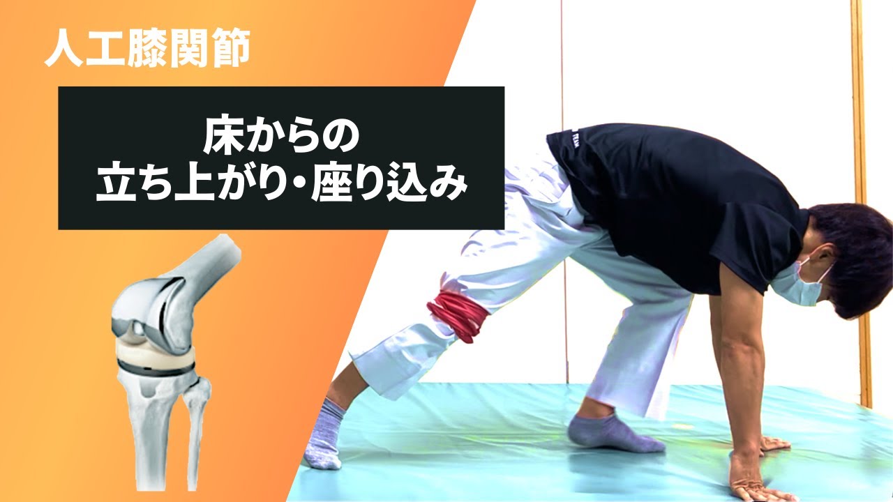 石井慎一郎の 『 基本動作のメカニズムと動作分析シリーズ 』 起立動作