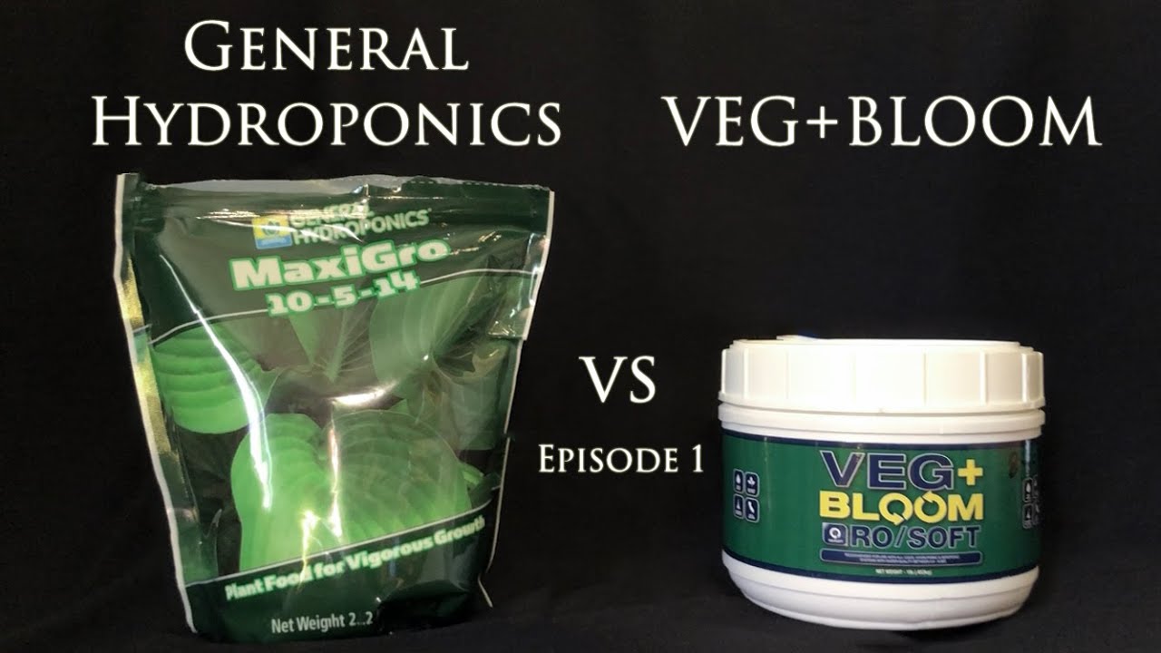 VEG+BLOOM vs Maxigrow w/Lettuce EP1 | Mars Hydro FC3000