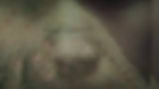 Leng jun the best painting artist 2020